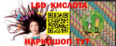 СК Будённовск