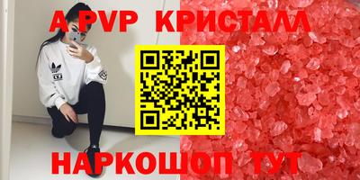 шишки Бузулук